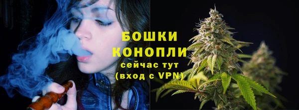 ПСИЛОЦИБИНОВЫЕ ГРИБЫ Белоозёрский