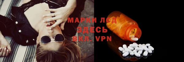 крисы Белокуриха