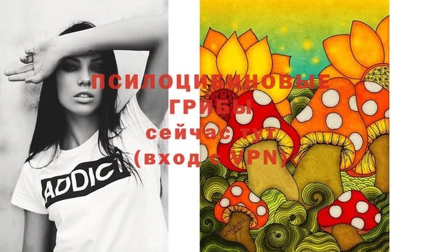 крисы Белокуриха