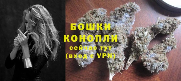 ПСИЛОЦИБИНОВЫЕ ГРИБЫ Белоозёрский