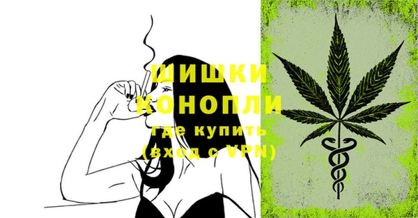 крисы Белокуриха